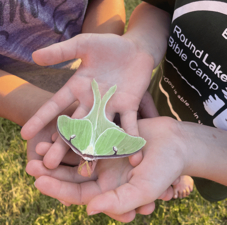 Round Lake | Donate